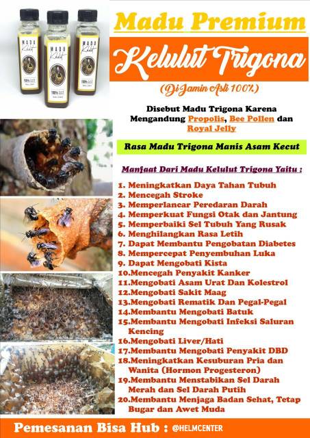 Sale Madu Kelulut Asli 1000 Terjamin Madu Trigona Stinglessbee 250ml Daya Tahan Tubuh Tambah Imun Shopee Indonesia