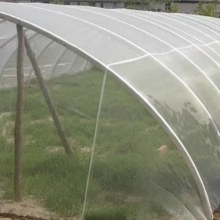 Insect Net Putih, Jaring pengaman tanaman dari hama greenhouse