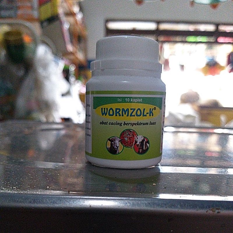 wormzol k/obat cacing kambing domba