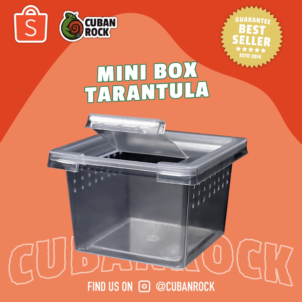 Mini Box Tarantula Kandang enclosure sling