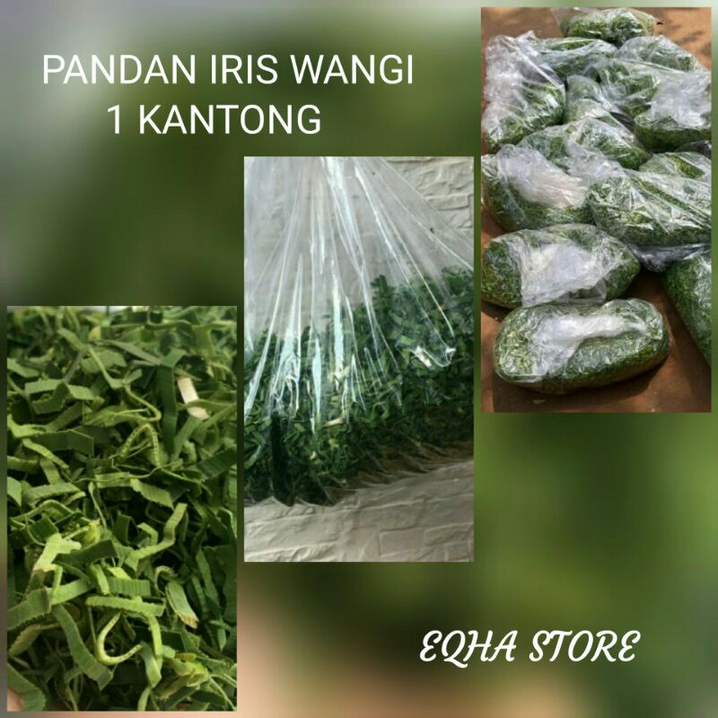 pandan tabur makam duka cita 500 gram segar