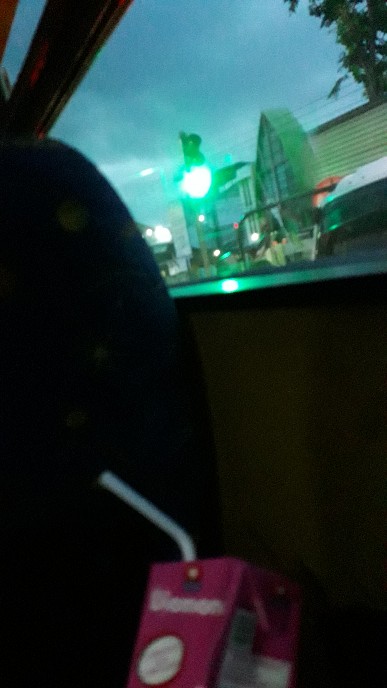 Pisau Pengupas/ Kerokan Kelapa Stainless Tebal Alumunium Homemade