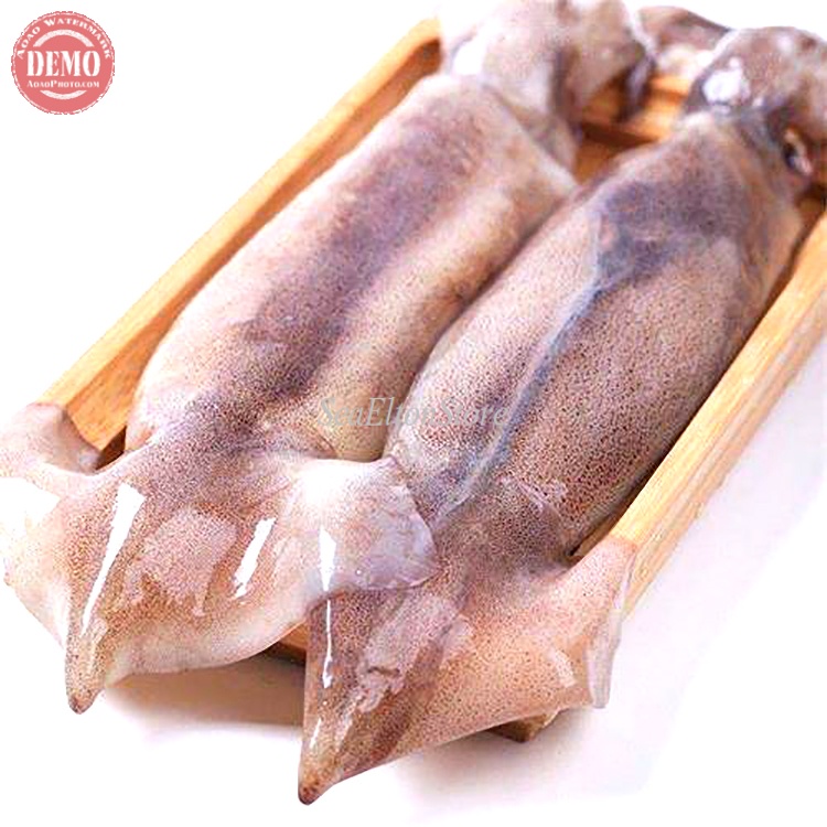 

Cumi Segar Tube Cumi Kondom / Seafood Fresh GARANSI SEGAR