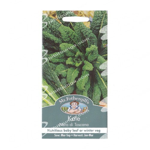 Benih Mr Fothergills Kale Nero Di Toscana - 400 biji