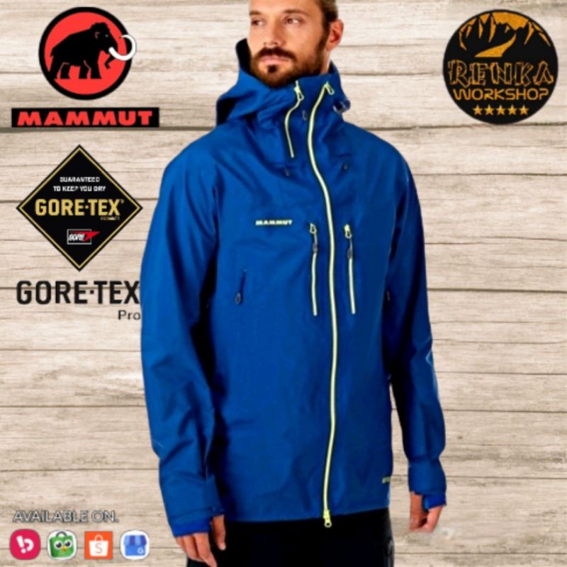 Mammut Alvier HS Hooded Goretex PRO Jacket