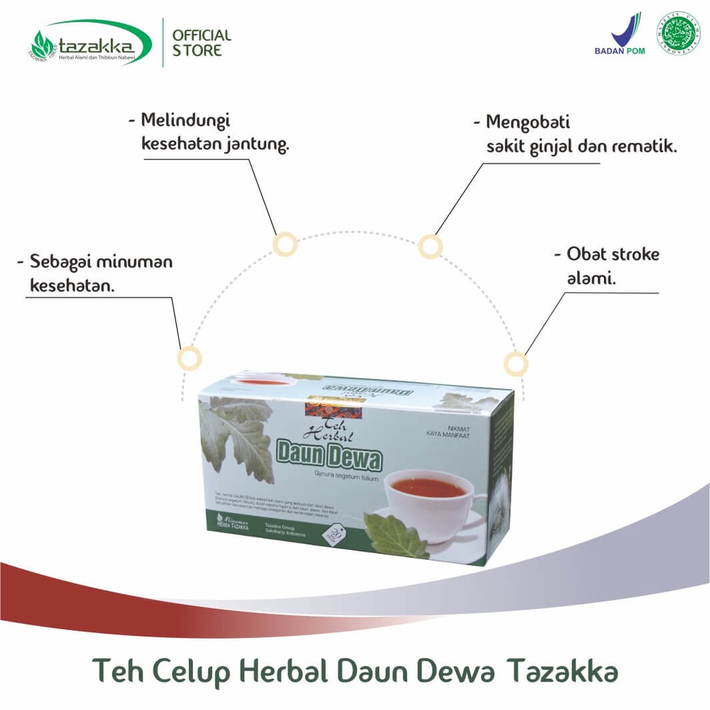 TEH Celup DAUN DEWA Obat Stroke Herbal Tazakka 20 Kantung Teh Celup Herbal Original