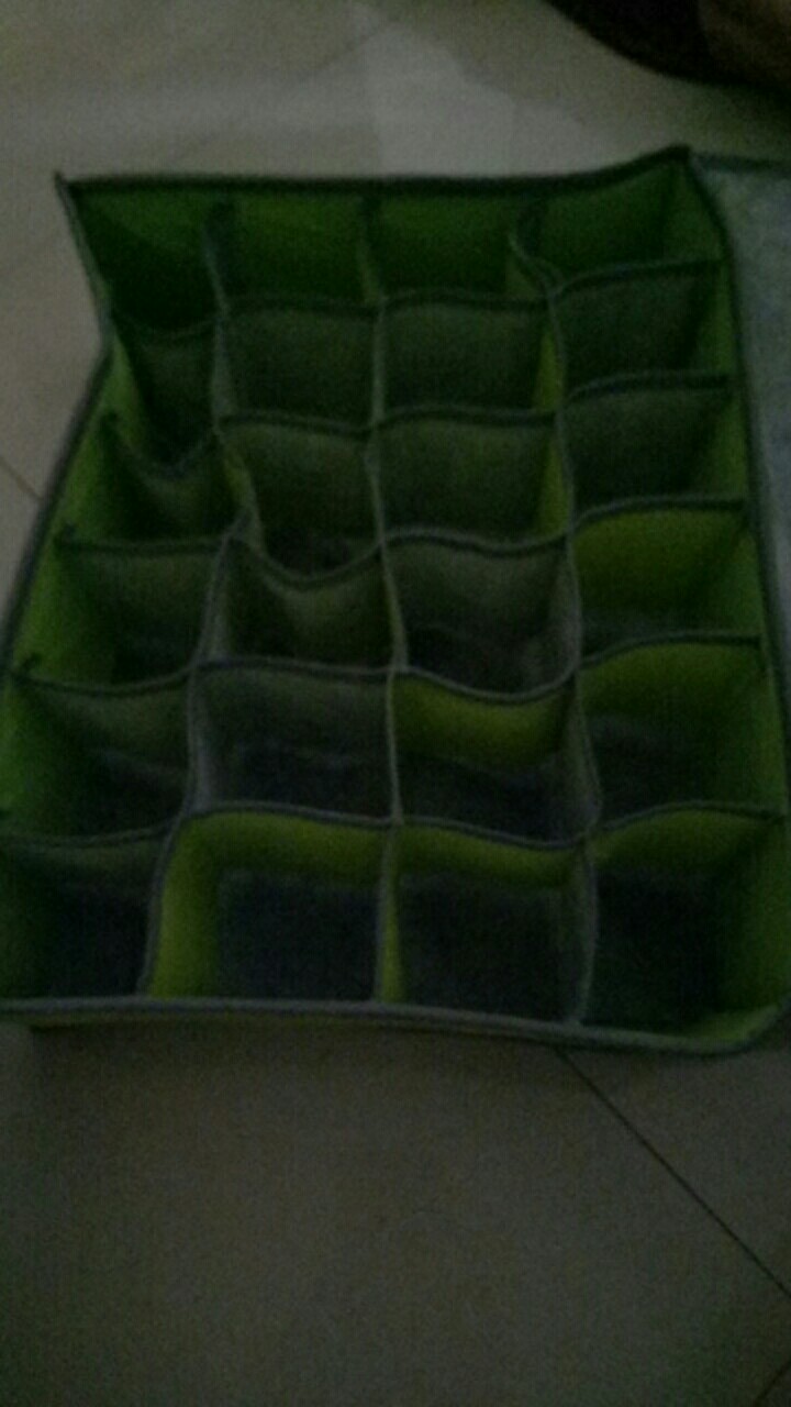 Storage Box Underwear