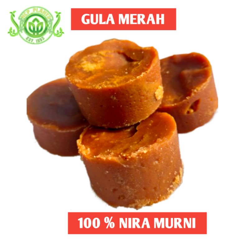 

Gula Merah | Gula jawa | Gula Kawung