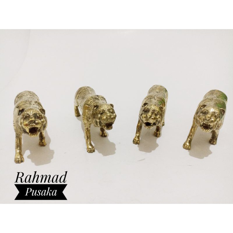 

Macan loreng kuningan sari