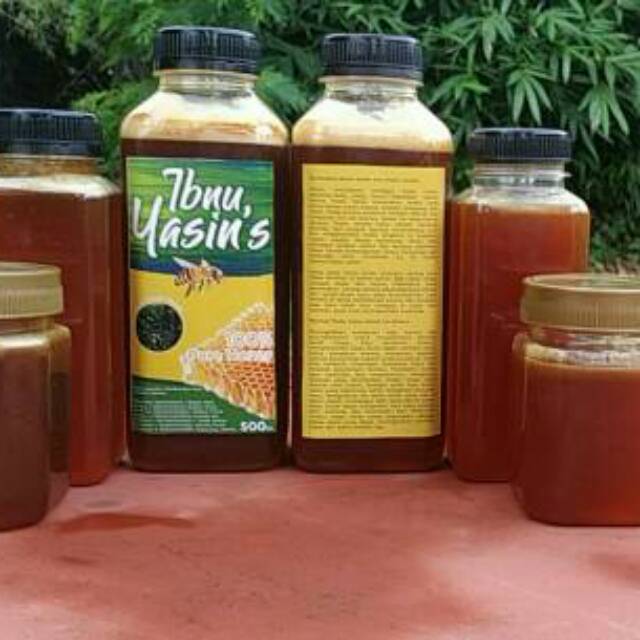 

Madu Hutan Liar Flores, jaminan asli tanpa campuran 500ml