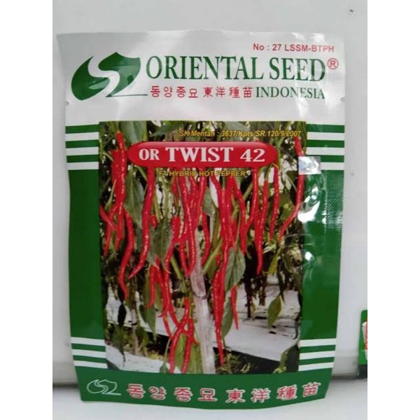Benih Cabe kriting OR TWIST 42 F1/10 GRAM