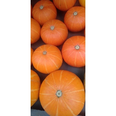 

Buah Kabocha orange minim order 2 @