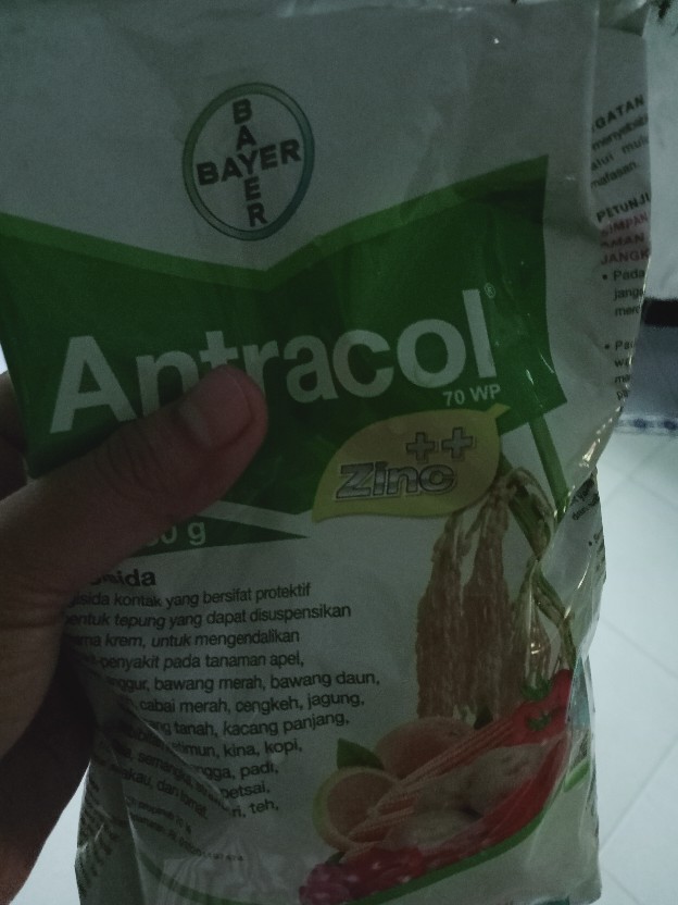 Furadan 1kg Furadan Tanaman Furadan Anti Hama