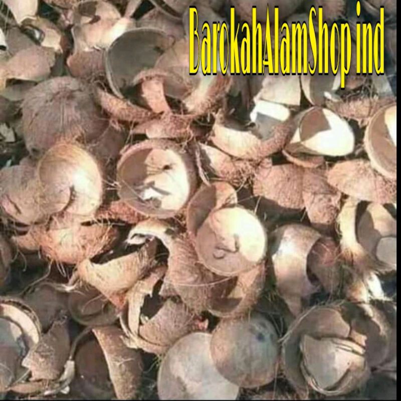 

BATOK KELAPA 1Kg