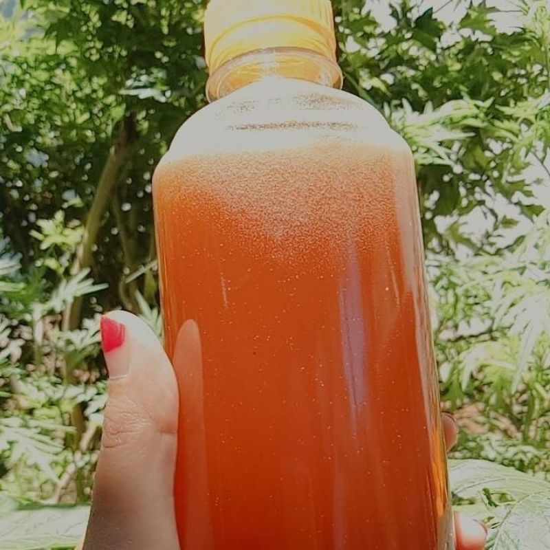 

Madu klanceng kemasan 500ml