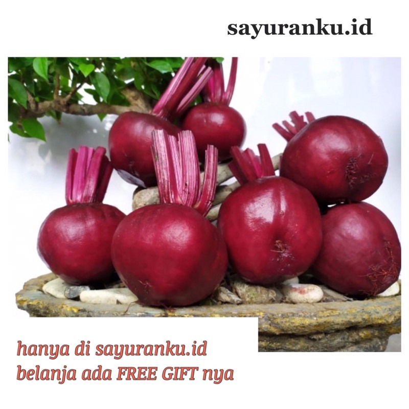 

buah bit - 500 gram