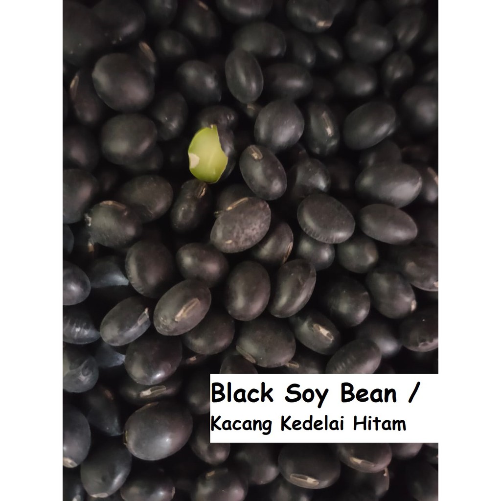 

1000gr Kacang Kedelai Hitam - Small Black Bean