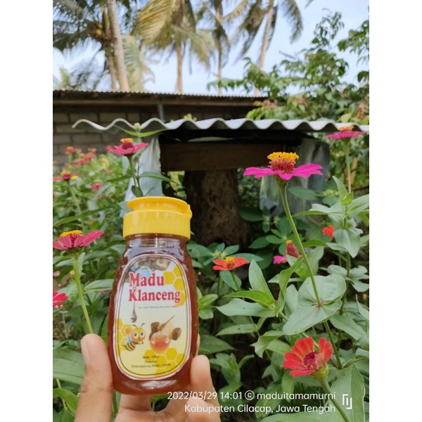 

Madu klanceng 100 ML
