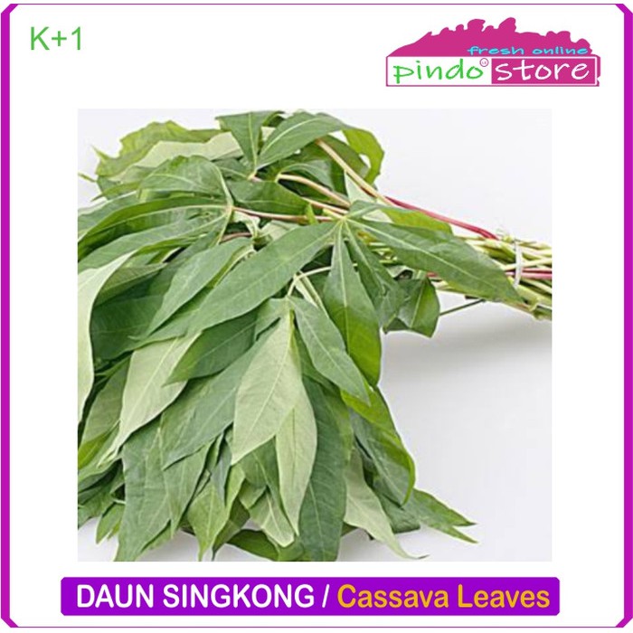 DAUN SINGKONG SEGAR / SAYUR DAUN SINGKONG MUDA
