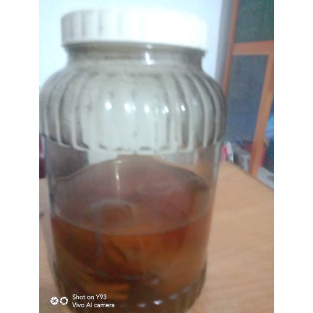 

Arak anak menjangan untuk kesehatan