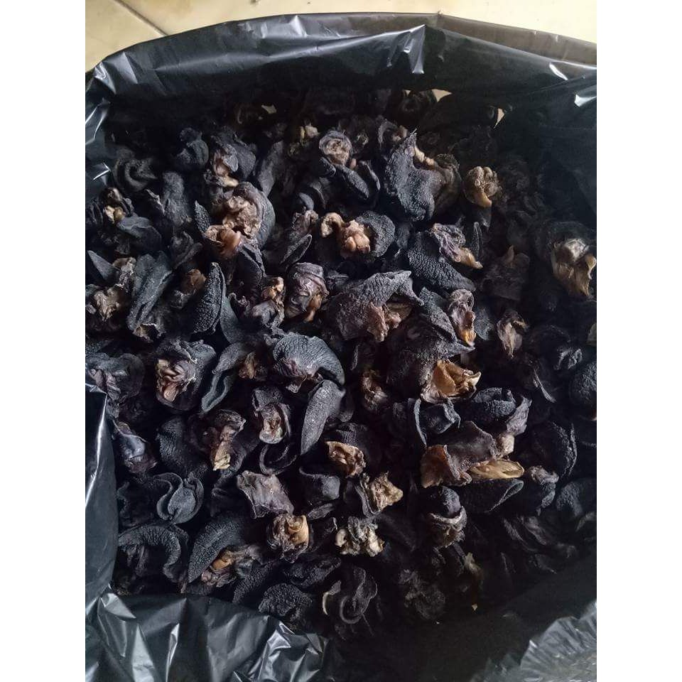 

Daging Bekicot Kering