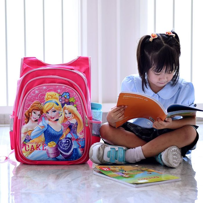 Tas Sekolah Anak / Tas Ransel / Backpack Sekolah SB 803 Princess