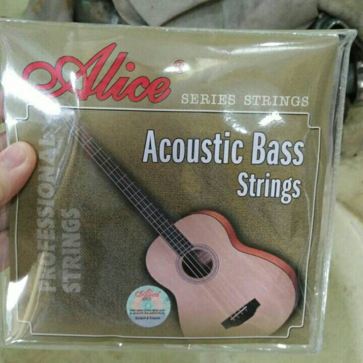 Terlaris senar bass akustik merk alice