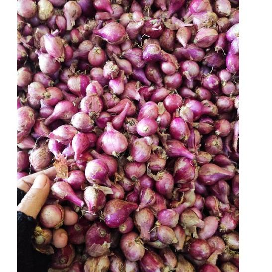 

ㅰX TURUN HARGA ready murah bawang merah lokal kemasan 500gr GREAT SALES 2289 ◘