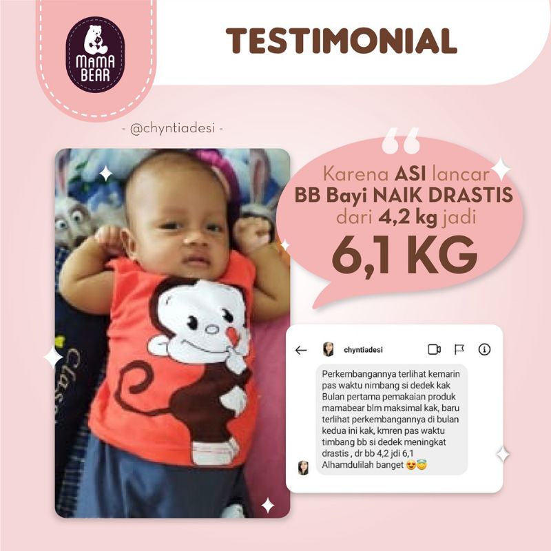 MamaBear Almon Mix Minuman Serbuk Almond Pelancar Asi Boster Dengan Daun Kelor / Mama Bear