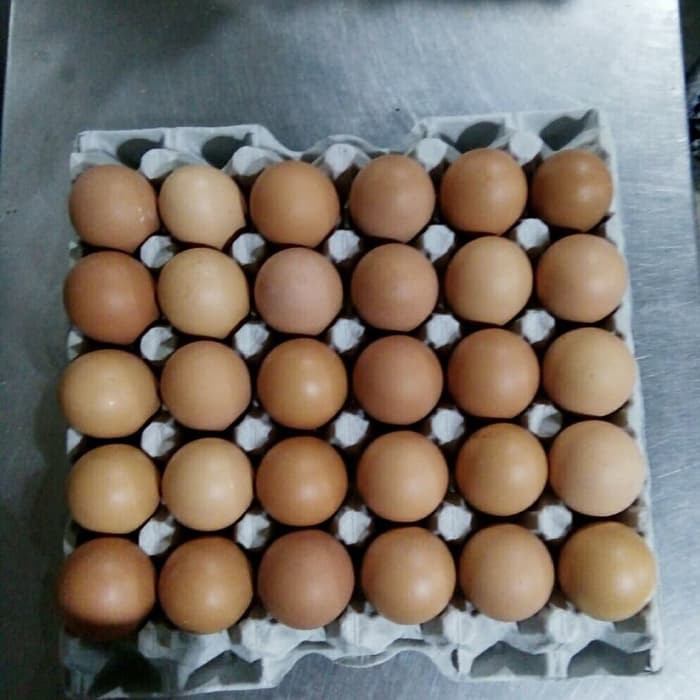 TELUR AYAM 30 BUTIR
