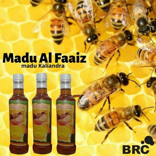 

MADU KALIANDRA AL FAAIZ (MADU MANIS)