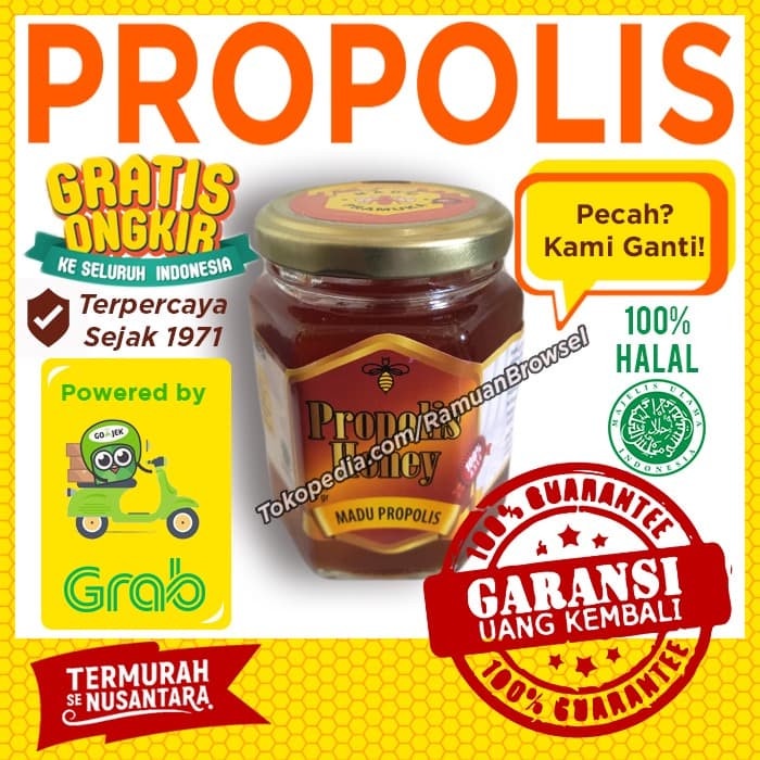 

nh201dd Madu Propolis Pramuka 300 Gram Ds201Fs