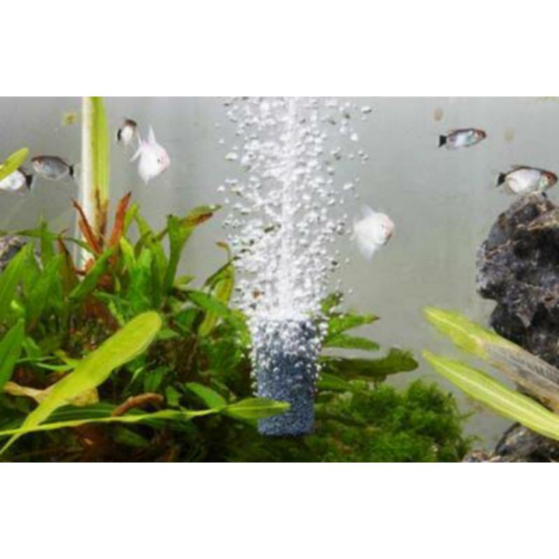 Batu Gelembung Mini Air Stone 20 x 30 mm Batu Aerator Akuarium 3CM 3 CM