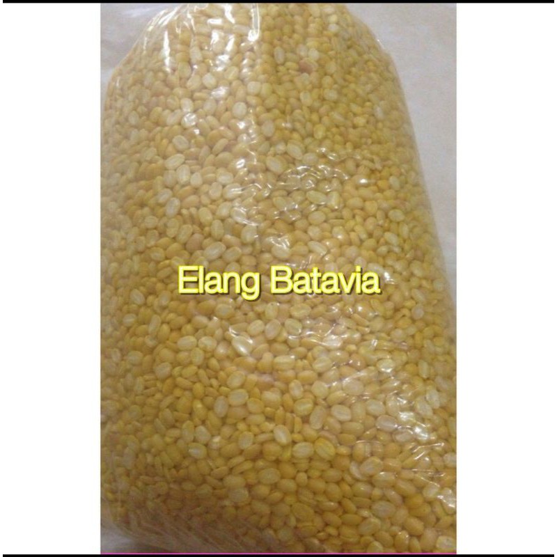 

Kacang hijau kupas 1kg