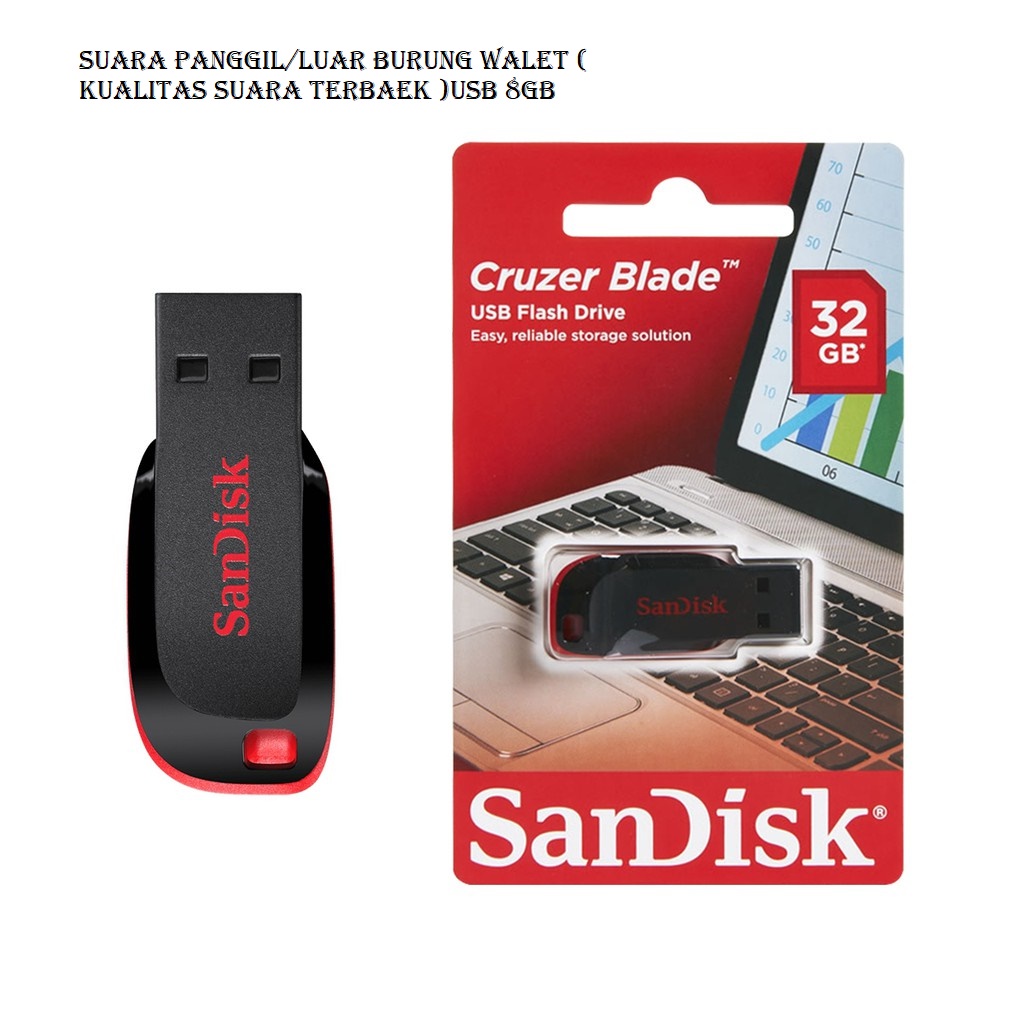 Suara Panggil/Luar Burung Walet ( Kualitas Suara Terbaek )USB 8GB
