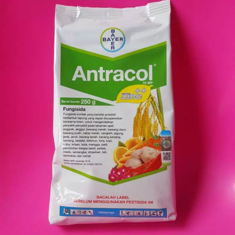 Fungisida Antracol Pencegah Jamur Tanaman Hias Shopee Indonesia