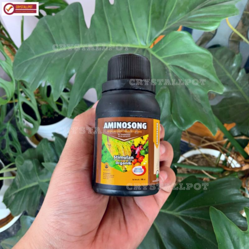 PUPUK CAIR ORGANIK AMINOSONG 100ML ASAM AMINO CAIR ORGANIK - AMINOSONG