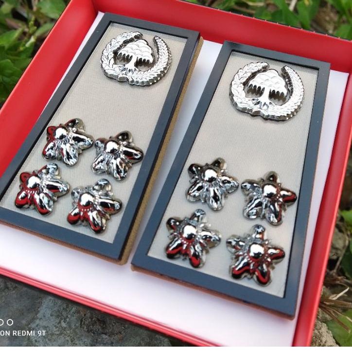 Harga Spesial.. PANGKAT ASN LAMPUNG 3D - PANGKAT PNS LAMPUNG 3D  FUL MIKA AKRILIK - PANGKAT LAMPUNG 