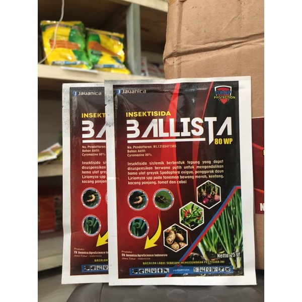 Insektisida BALLISTA 80wp obat grandong bawang merah