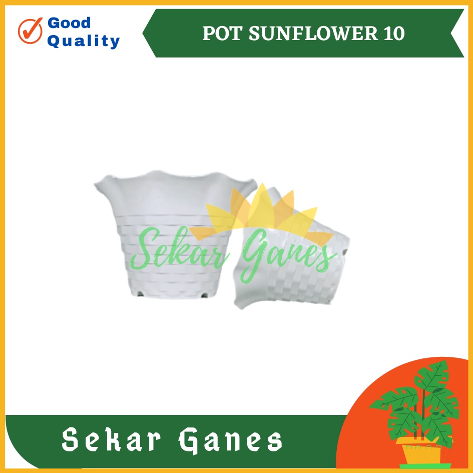 POT SUN FLOWER MDN 10 CM MOTIF BATA POT BUNGA SUNFLOWER WARNA WARNI - pot kaktus mini lucu