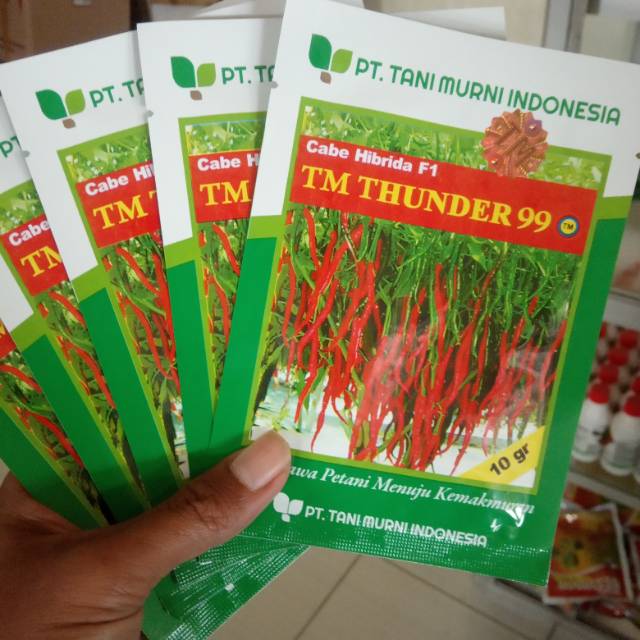 Bibit cabai hibrida F1 TM THUNDER 99