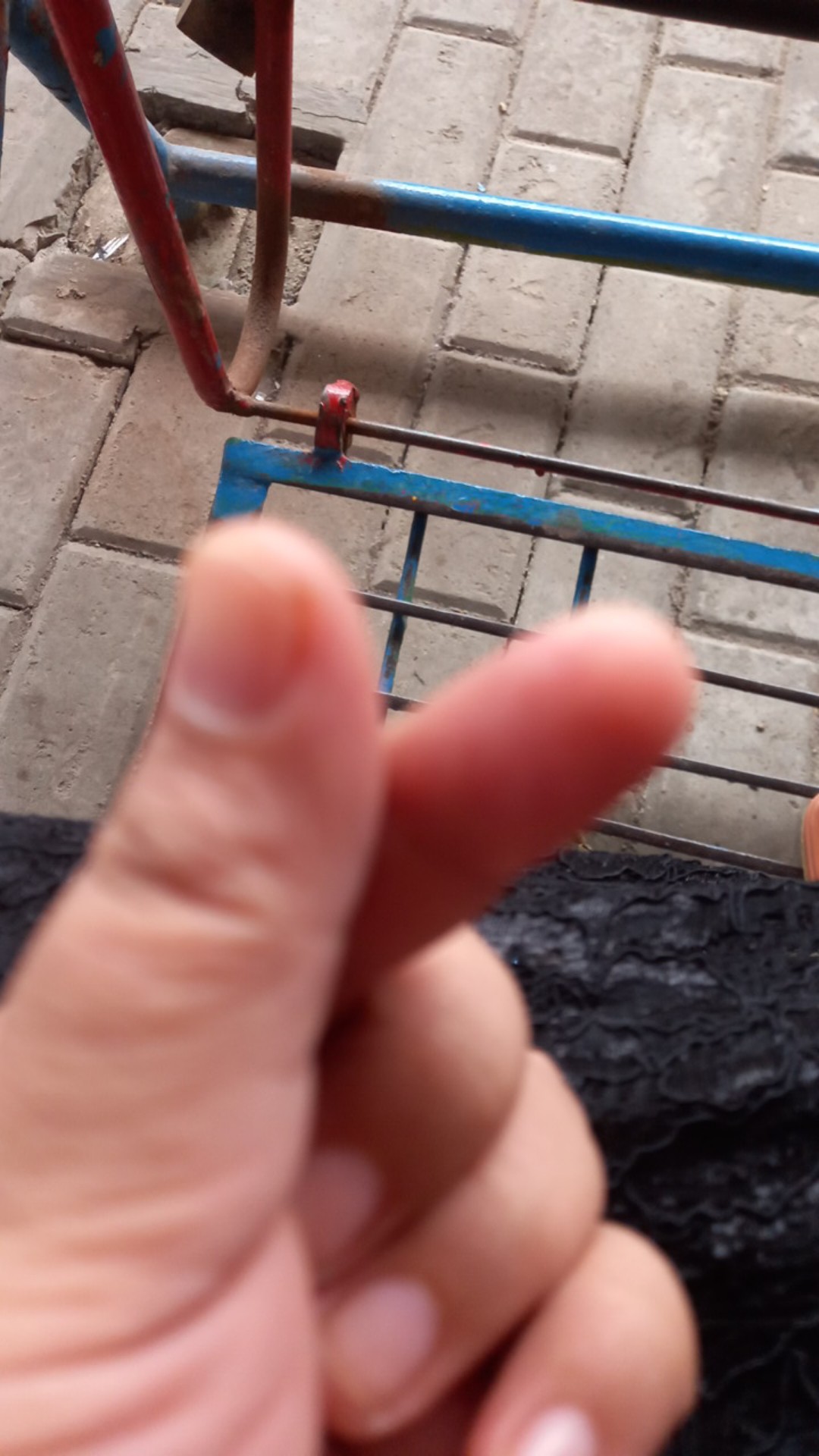 Alat Perasan Jeruk Dan Pemeras Lemon Stainless Steel