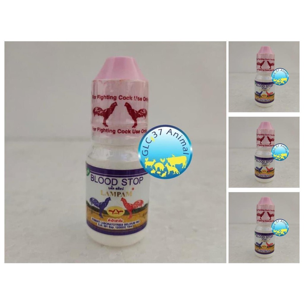 lampam blood stop obat untuk menghentikan pendarahan ayam tarung