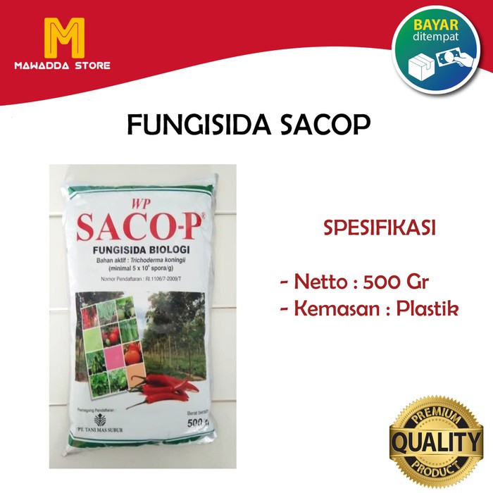 Fungisida Biologi WP SACO-P