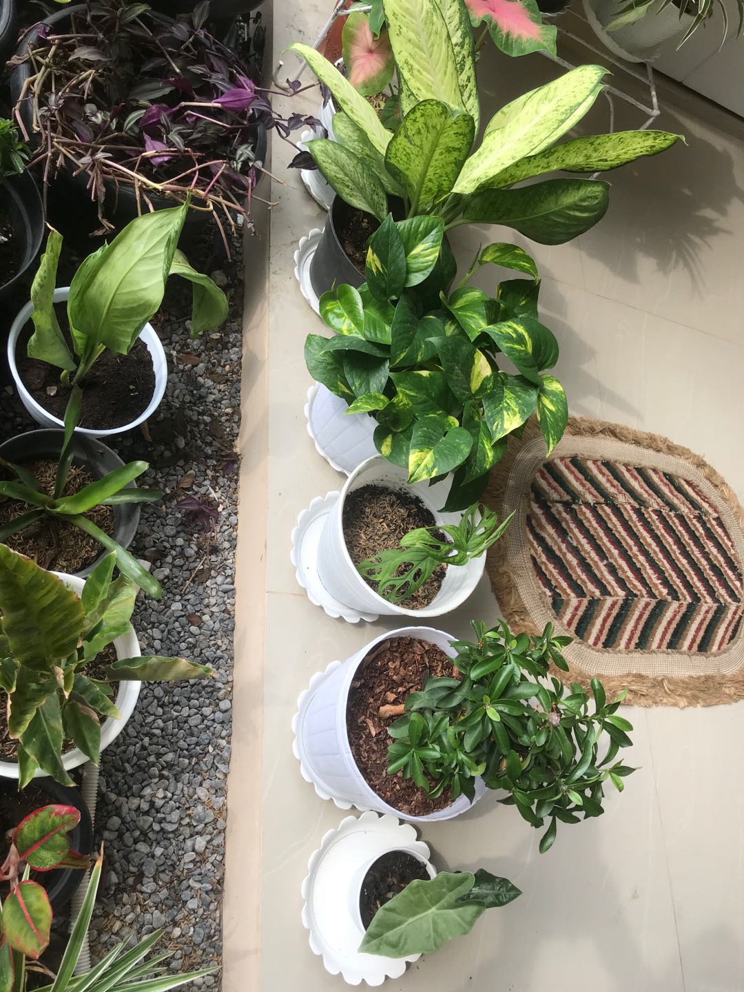 Tatakan Pot Bunga Kembang Tawon No 20