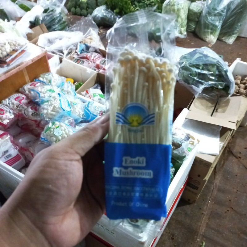 

Enoki