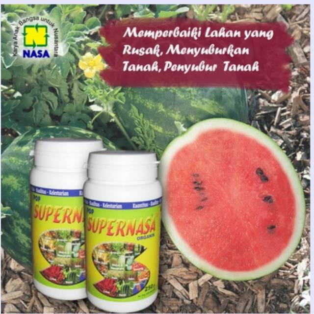 Supernasa