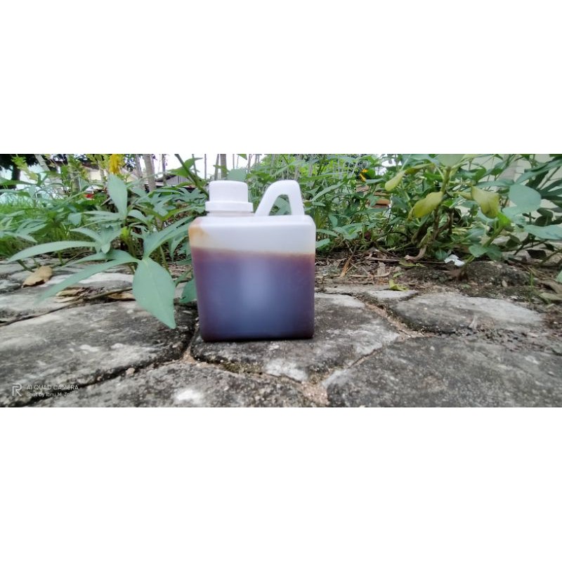 

Madu Hutan