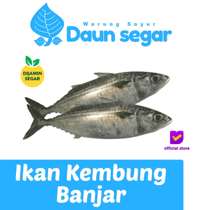 

Ikan Kembung Banjar 1/2kg Super Fresh Dijamin