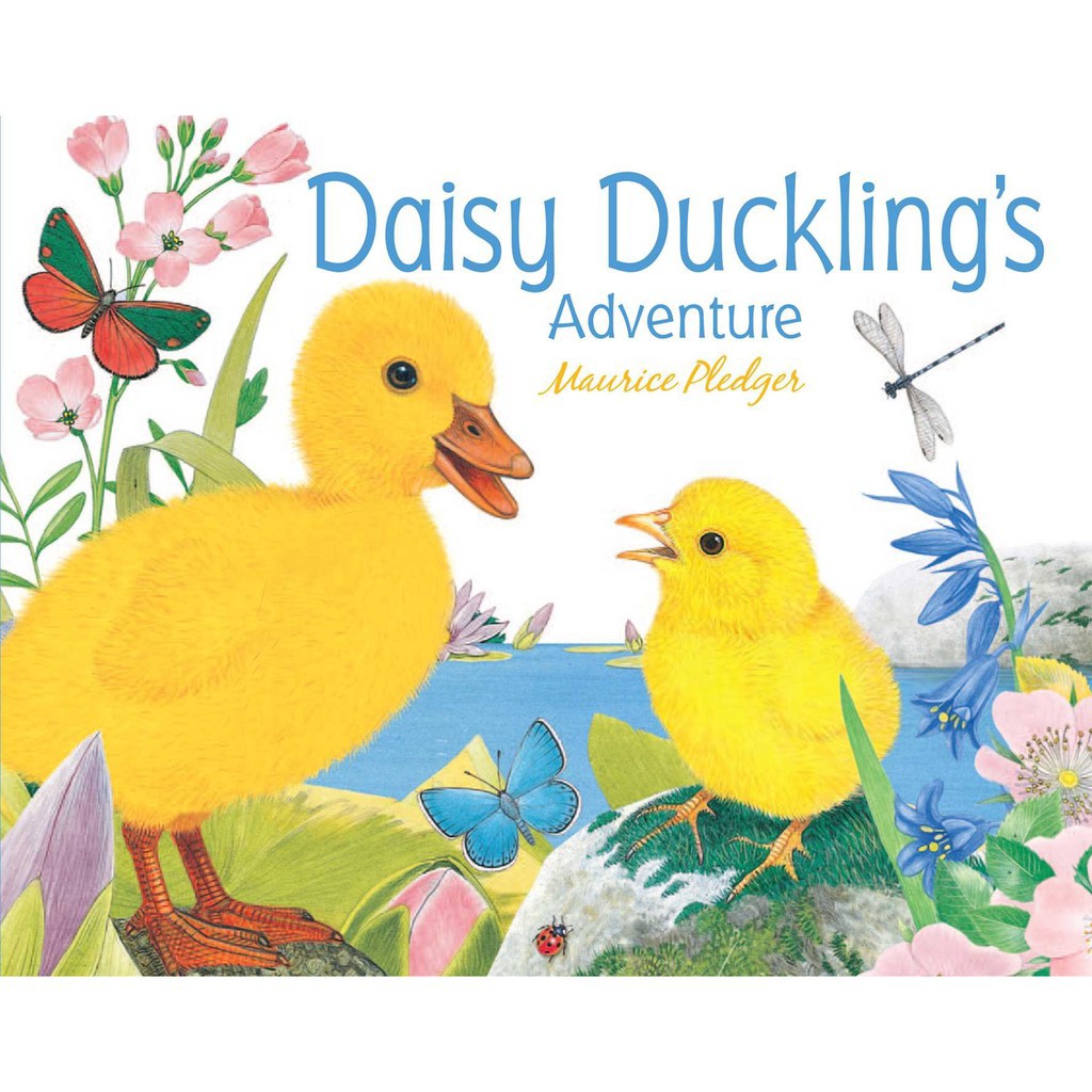 [BUKU MURAH] Daisy Duckling's Adventure - Maurice Pledger